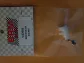 S-026SS Racing Guide for BRM / new design