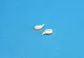 S-005 BRM Wing Mirrors Porsche/IMSA  Unpainted (2)