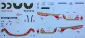 Racer SPK3/C2 Decal 'Red Roof Inns' Porsche 935