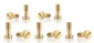 SICH89 Brass Scew (10) 2.5 x 6mm for Carrera