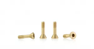 S-134A1 Metric brass screw “extra small” sink head 3.8mm x 7.2mm – SHORT (x6)