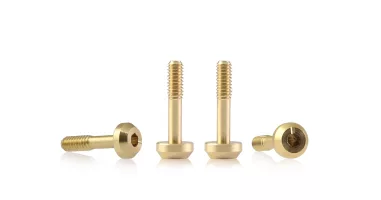 S-136A1 Suspension brass screw M2 flat head 4.5mm x 9.5mm – SHORT (x4)