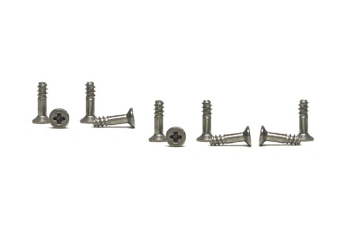 CH120 Body to chassis fitting screws (10 pieces)